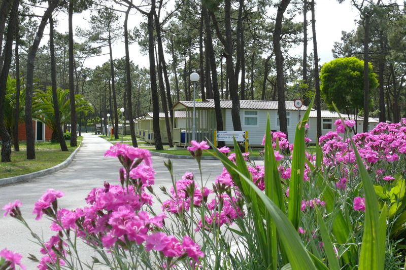 Hotel Parque De Campismo Orbitur Gala Figueira da Foz Zewnętrze zdjęcie